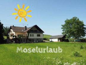 Landhaus Sonneninsel - Appartement